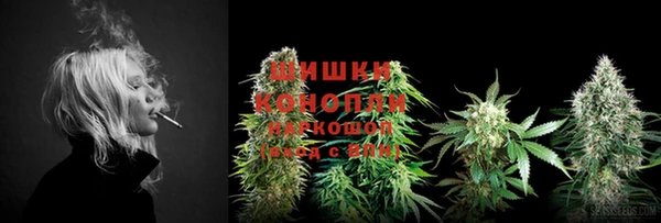 тгк Гусиноозёрск