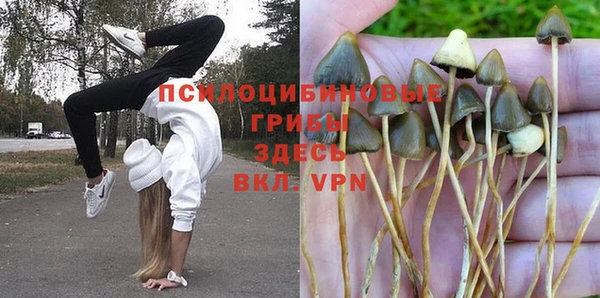 тгк Гусиноозёрск